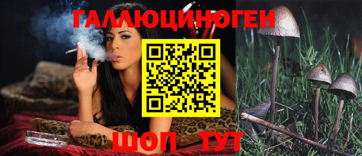 Псилоцибиновые грибы Psilocybe  Вход с VPN  Псилоцибиновые грибы мицелий  Мыски 
